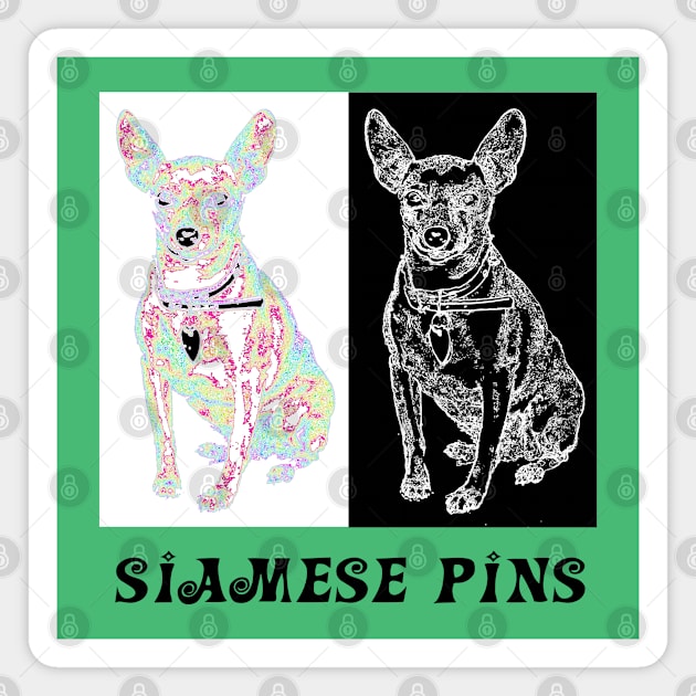 Siamese Pins Magnet by amigaboy